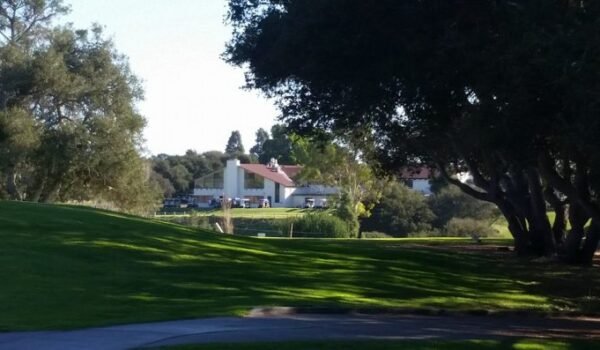 1150121_1019572314748124_1557810827719288841_n-705x397-1