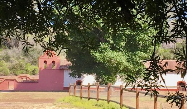 FB_IMG_1772244283434