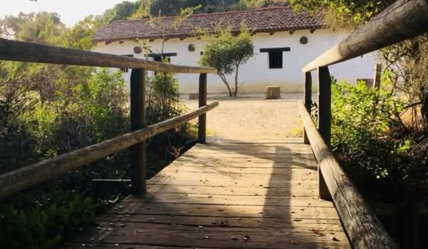 FB_IMG_1772244354827