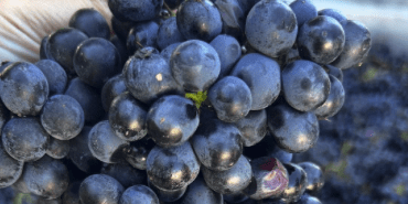 Screenshot 2026-02-27 at 12.40.51 PM